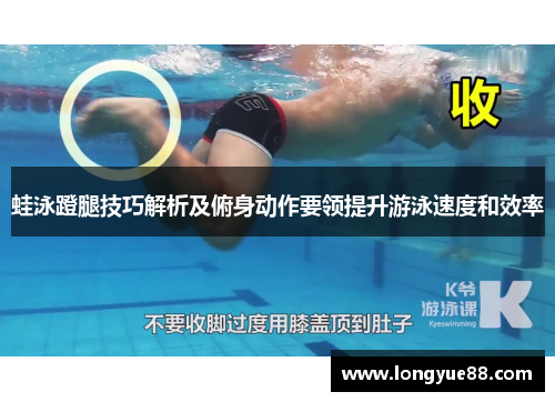 蛙泳蹬腿技巧解析及俯身动作要领提升游泳速度和效率